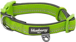 Blueberry Pet 3M Spring Pastel Polyester Reflective Dog Collar, Pastel Green, Small: 12 to 16-in neck, 5/8-in wide