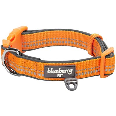 Blueberry Pet Blueberry Pet 3M Reflective Spring Pastel Dog Collar, Small, Orange