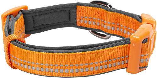 Show full view: Blueberry Pet 3M Spring Pastel Polyester Reflective Dog Collar, Pastel Orange, Small: 12 to 16-in neck, 5/8-in wide slide 2 of 8