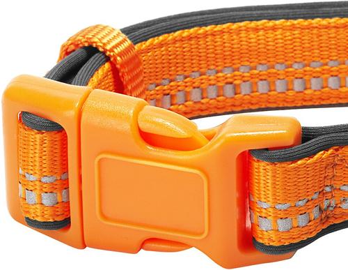 Show full view: Blueberry Pet 3M Spring Pastel Polyester Reflective Dog Collar, Pastel Orange, Small: 12 to 16-in neck, 5/8-in wide slide 3 of 8