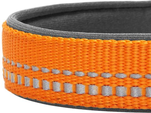 Show full view: Blueberry Pet 3M Spring Pastel Polyester Reflective Dog Collar, Pastel Orange, Small: 12 to 16-in neck, 5/8-in wide slide 4 of 8