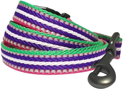 Show full view: Blueberry Pet 3M Striped Polyester Reflective Dog Leash, Pink, Large: 4-ft long, 1-in wide slide 2 of 6