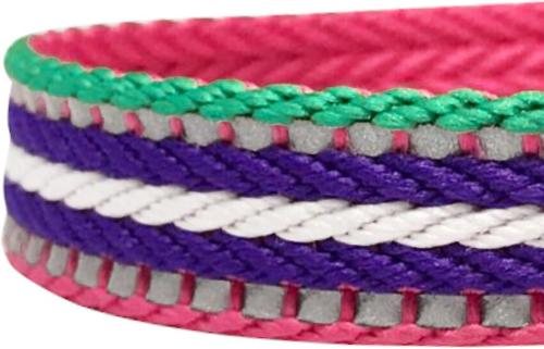 Show full view: Blueberry Pet 3M Striped Polyester Reflective Dog Leash, Pink, Small: 5-ft long, 5/8-in wide slide 3 of 6