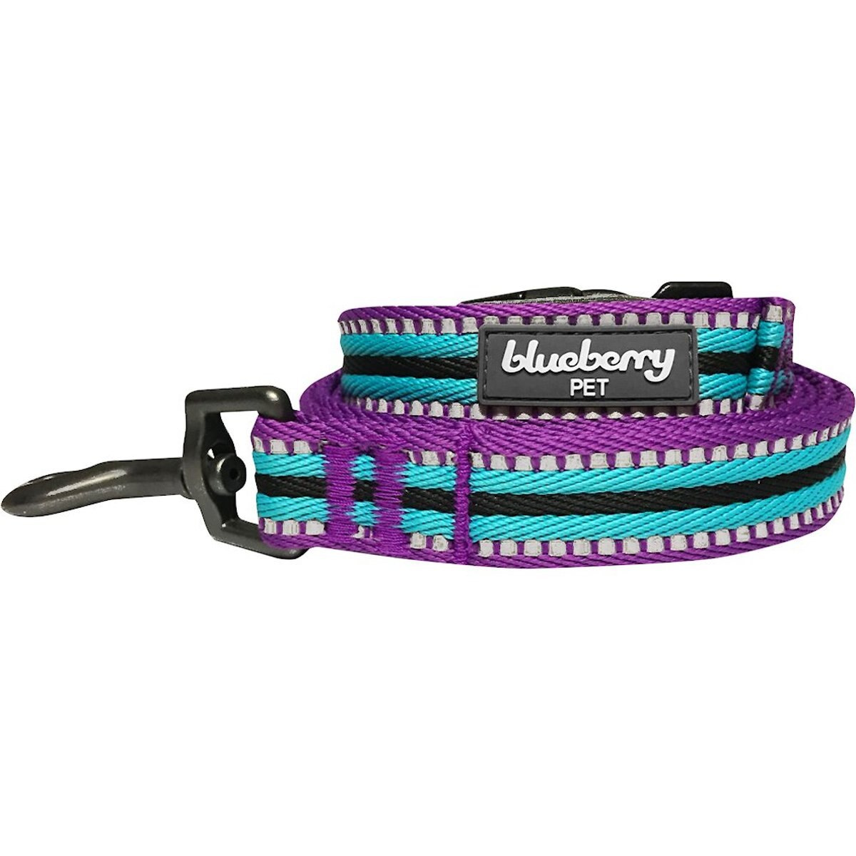 Blueberry Pet 3M Striped Polyester Reflective Dog Leash, Violet & Celeste, Large: 4-ft long, 1-in wide