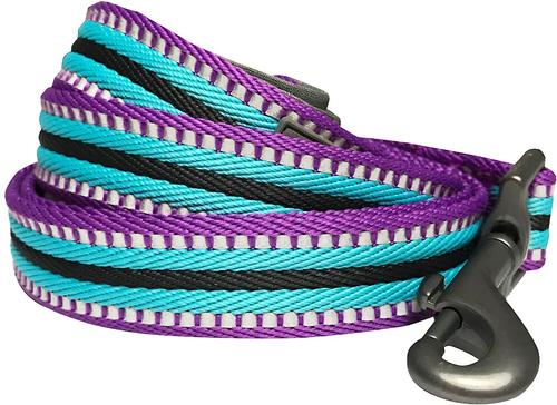 Show full view: Blueberry Pet 3M Striped Polyester Reflective Dog Leash, Violet & Celeste, Large: 4-ft long, 1-in wide slide 2 of 6