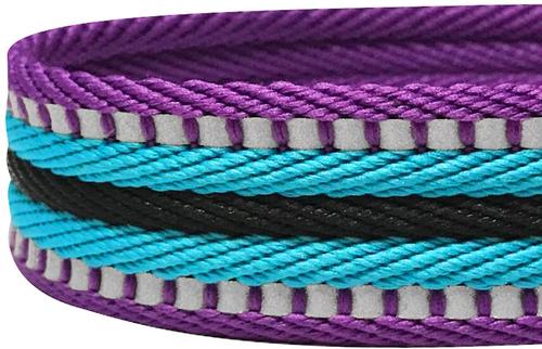 Show full view: Blueberry Pet 3M Striped Polyester Reflective Dog Leash, Violet & Celeste, Large: 4-ft long, 1-in wide slide 3 of 6