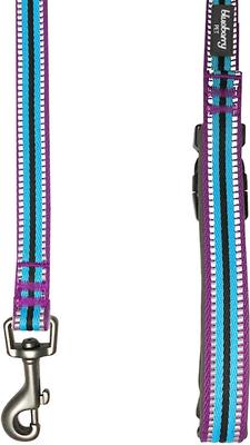 Show full view: Blueberry Pet 3M Striped Polyester Reflective Dog Leash, Violet & Celeste, Large: 4-ft long, 1-in wide slide 4 of 6