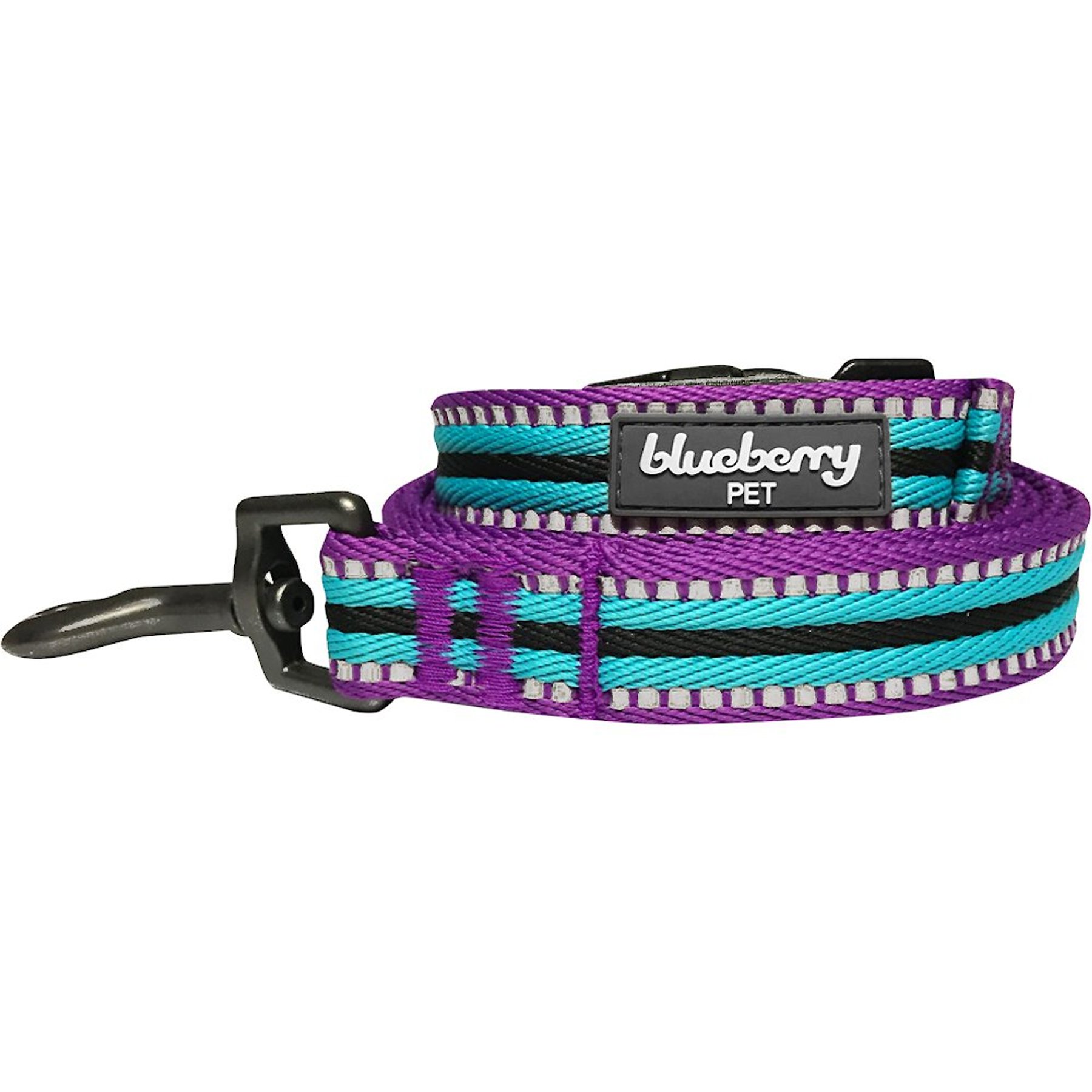 Blueberry Pet 3M Striped Polyester Reflective Dog Leash, Violet & Celeste, Medium: 5-ft long, 3/4-in wide