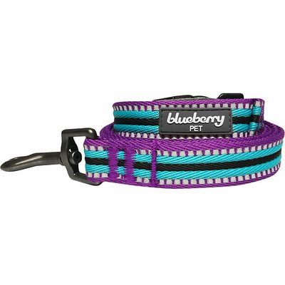 Blueberry Pet Blueberry Pet 3M Striped Polyester Reflective Dog Leash, Violet & Celeste, Medium: 5-ft long, 3/4-in wide