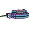 Show in main carousel: Blueberry Pet 3M Striped Polyester Reflective Dog Leash, Violet & Celeste, Medium: 5-ft long, 3/4-in wide slide 1 of 6