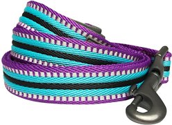 Blueberry Pet 3M Striped Polyester Reflective Dog Leash, Violet & Celeste, Medium: 5-ft long, 3/4-in wide slide 2 of 5