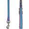 Show in main carousel: Blueberry Pet 3M Striped Polyester Reflective Dog Leash, Violet & Celeste, Medium: 5-ft long, 3/4-in wide slide 4 of 6