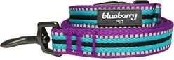 Blueberry Pet 3M Striped Polyester Reflective Dog Leash, Violet & Celeste, Small: 5-ft long, 5/8-in wide