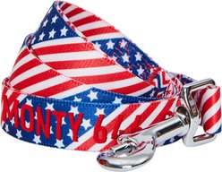 Blueberry Pet American Flag Personalized Standard Dog Leash, Large: 4-ft long, 1-in wide