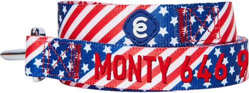 Show full view: Blueberry Pet American Flag Personalized Standard Dog Leash, Large: 4-ft long, 1-in wide slide 2 of 4