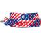 Show in main carousel: Blueberry Pet American Flag Personalized Standard Dog Leash, Medium: 5-ft long, 3/4-in wide slide 2 of 4