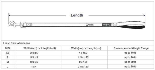 Show full view: Blueberry Pet American Flag Personalized Standard Dog Leash, Medium: 5-ft long, 3/4-in wide slide 3 of 4