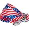 Show in main carousel: Blueberry Pet American Flag Personalized Standard Dog Leash, Small: 5-ft long, 5/8-in wide slide 1 of 4