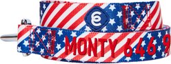 Blueberry Pet American Flag Personalized Standard Dog Leash, Small: 5-ft long, 5/8-in wide slide 2 of 4