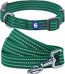 Blueberry Pet Back to Basics Polyester Reflective Dog Collar & Leash Set, Dark Green, Large: 4-ft long, 1-in wide