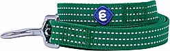 Blueberry Pet Back to Basics Polyester Reflective Dog Collar & Leash Set, Dark Green, Large: 4-ft long, 1-in wide slide 2 of 6