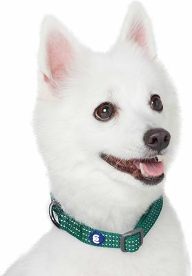Show full view: Blueberry Pet Back to Basics Polyester Reflective Dog Collar & Leash Set, Dark Green, Large: 4-ft long, 1-in wide slide 2 of 6