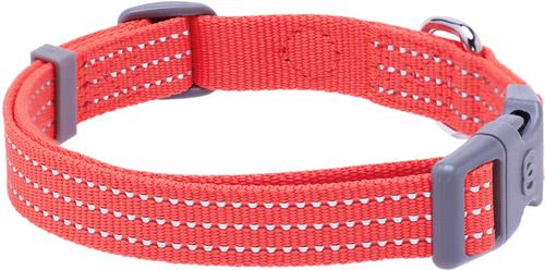 Show full view: Blueberry Pet Back to Basics Polyester Reflective Dog Collar & Leash Set, Fiery Red, Large: 18 to 26-in neck, 1-in wide slide 3 of 6