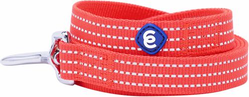 Show full view: Blueberry Pet Back to Basics Polyester Reflective Dog Collar & Leash Set, Fiery Red, Small: 12 to 16-in neck, 5/8-in wide slide 4 of 6