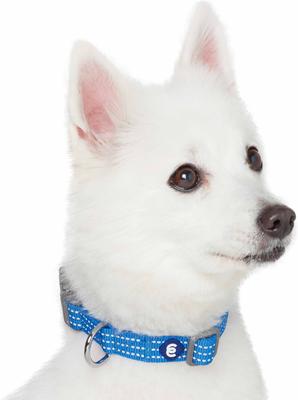 Show full view: Blueberry Pet Back to Basics Polyester Reflective Dog Collar & Leash Set, French Blue, Large: 18 to 26-in neck, 1-in wide slide 3 of 7