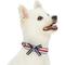 Show in main carousel: Blueberry Pet Bon Voyage Sea Lover Dog Collar, Horizontal Red Stripes, Large: 17 to 20.5-in neck slide 2 of 6