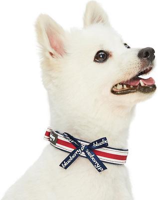 Show full view: Blueberry Pet Bon Voyage Sea Lover Dog Collar, Horizontal Red Stripes, Large: 17 to 20.5-in neck slide 2 of 6