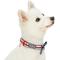 Show in main carousel: Blueberry Pet Bon Voyage Sea Lover Dog Collar, Horizontal Red Stripes, Large: 17 to 20.5-in neck slide 3 of 6