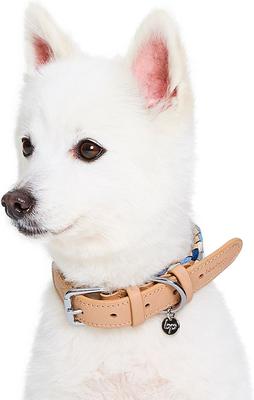 Show full view: Blueberry Pet Braided Genuine Leather & Polyester Webbing Dog Collar, Blue, Large: 18 to 22-in neck, 1-in wide slide 2 of 8