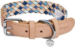 Blueberry Pet Braided Genuine Leather & Polyester Webbing Dog Collar, Blue, Medium: 15 to 18-in neck, 1-in wide