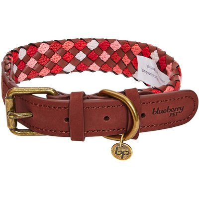 Blueberry Pet Blueberry Pet Braided Genuine Leather & Polyester Webbing Dog Collar, Red, Large: 18 to 22-in neck, 1-in wide