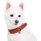 Show in main carousel: Blueberry Pet Braided Genuine Leather & Polyester Webbing Dog Collar, Red, Large: 18 to 22-in neck, 1-in wide slide 2 of 8