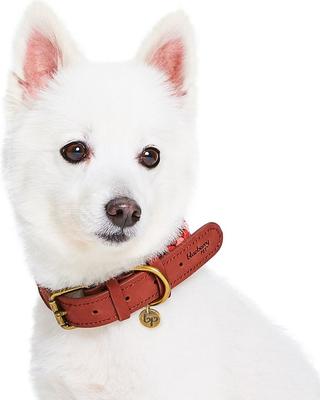 Show full view: Blueberry Pet Braided Genuine Leather & Polyester Webbing Dog Collar, Red, Large: 18 to 22-in neck, 1-in wide slide 2 of 8