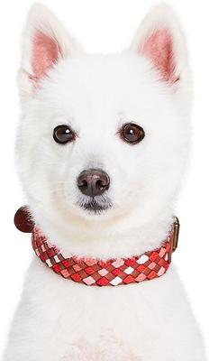 Show full view: Blueberry Pet Braided Genuine Leather & Polyester Webbing Dog Collar, Red, Medium: 15 to 18-in neck, 1-in wide slide 3 of 8