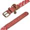 Show in main carousel: Blueberry Pet Braided Genuine Leather & Polyester Webbing Dog Collar, Red, Medium: 15 to 18-in neck, 1-in wide slide 6 of 8