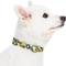 Show in main carousel: Blueberry Pet Camouflage Personalized Dog Collar, Green, Large: 18 to 26-in neck, 1-in wide slide 3 of 7