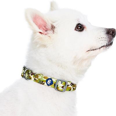 Show full view: Blueberry Pet Camouflage Personalized Dog Collar, Green, Medium: 14.5 to 20-in neck 3/4-in wide slide 3 of 7