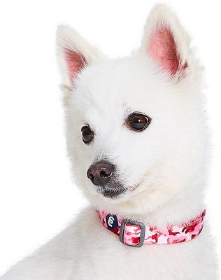 Show full view: Blueberry Pet Camouflage Personalized Dog Collar, Pink, Large: 18 to 26-in neck, 1-in wide slide 3 of 7