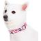 Show in main carousel: Blueberry Pet Camouflage Personalized Dog Collar, Pink, Small: 12 to 16-in neck, 5/8-in wide slide 2 of 7
