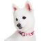 Show in main carousel: Blueberry Pet Camouflage Personalized Dog Collar, Pink, Small: 12 to 16-in neck, 5/8-in wide slide 3 of 7