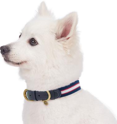 Show full view: Blueberry Pet Classic Leather Striped Dog Collar, Navy, White & Red, Large slide 2 of 11