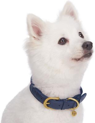 Show full view: Blueberry Pet Classic Leather Striped Dog Collar, Navy, White & Red, Large slide 3 of 11