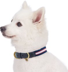 Blueberry Pet Classic Leather Striped Dog Collar, Navy, White & Red, Small slide 2 of 9