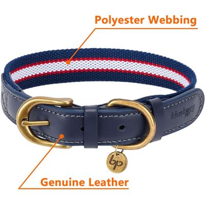 Show full view: Blueberry Pet Classic Leather Striped Dog Collar, Navy, White & Red, Small slide 4 of 11
