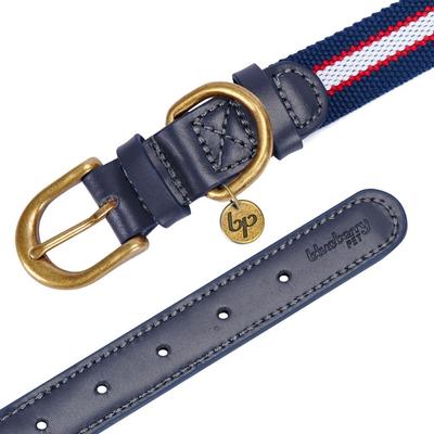Show full view: Blueberry Pet Classic Leather Striped Dog Collar, Navy, White & Red, Small slide 6 of 11