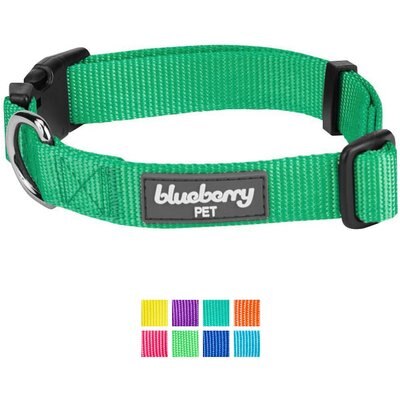 Blueberry Pet Blueberry Pet Classic Solid Nylon Dog Collar, Emerald, Small: 12 to 16-in neck, 5/8-in wide